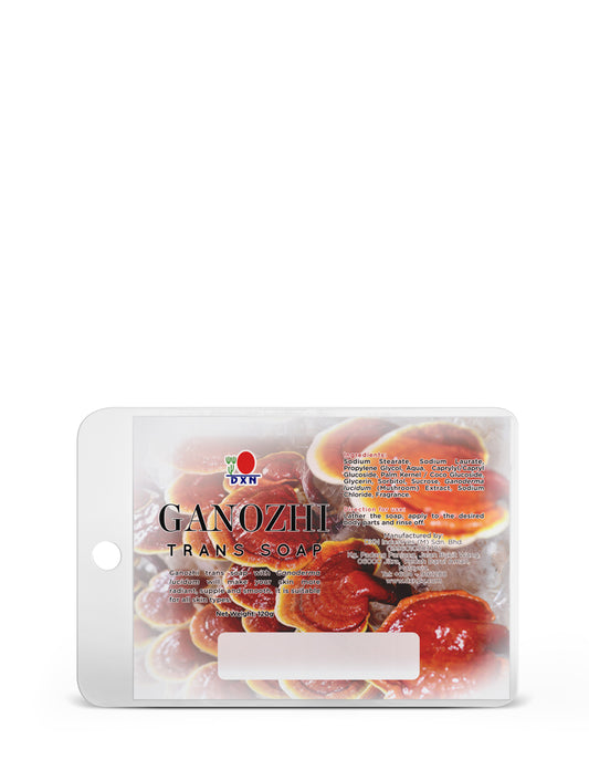 DXN Trans Soap